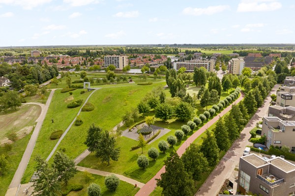 Titanium 40 - Foto 35.jpg